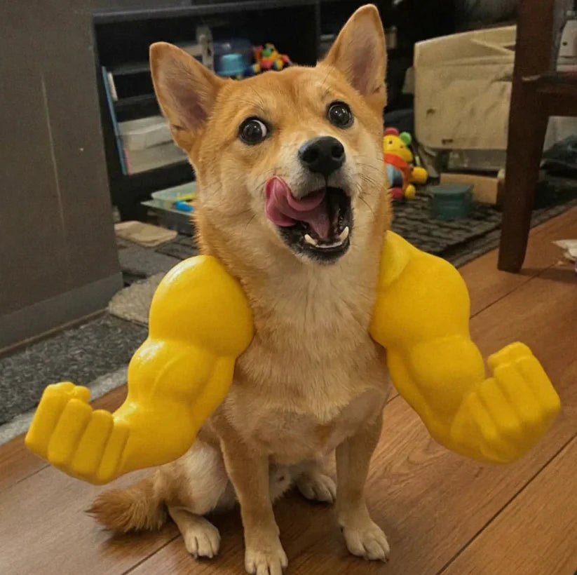 Funny Muscle Arms Cat Costume – 3D Printed Halloween Pet Cosplay Suit