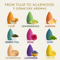 9 Pack Aromatherapy Incense Cones