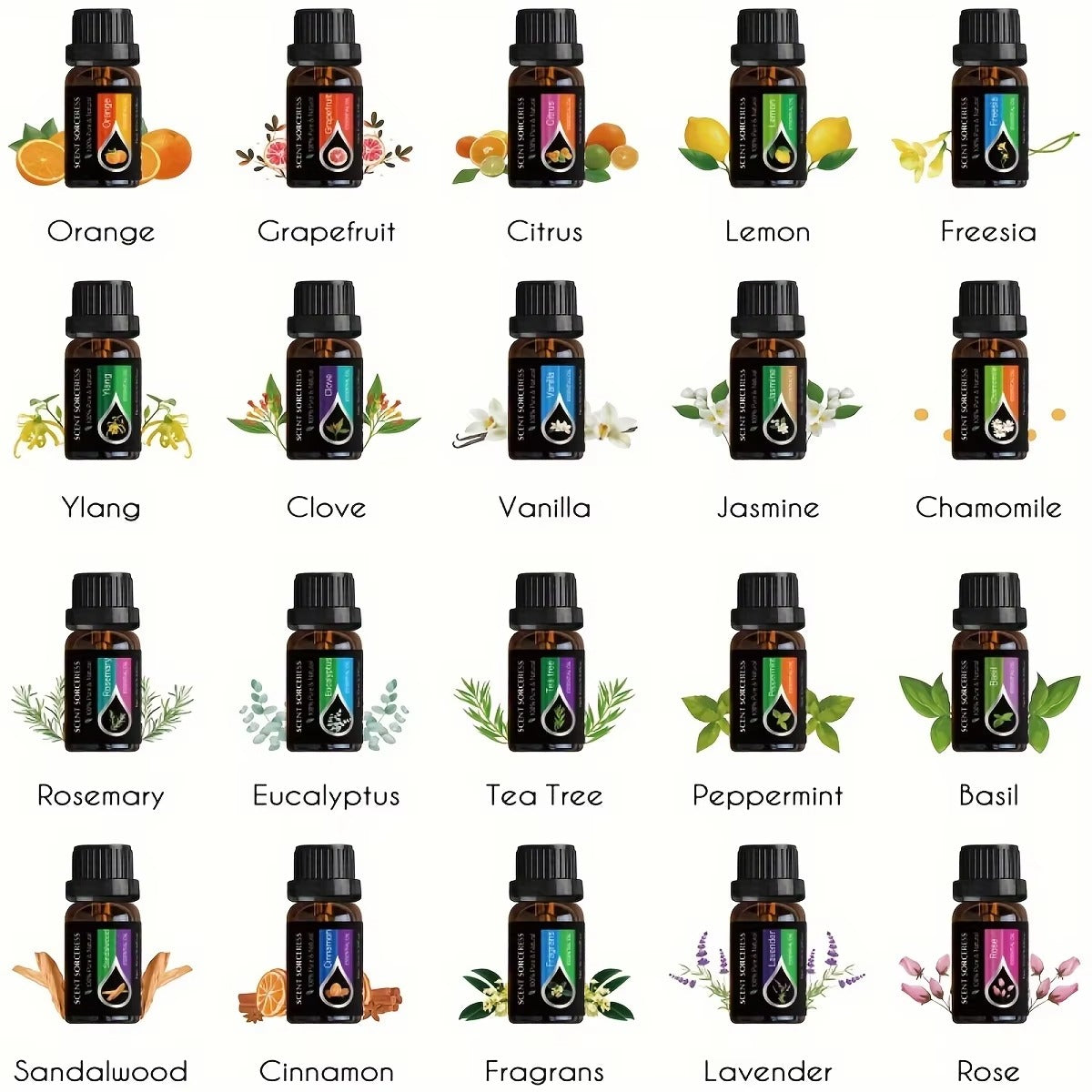 20 Piece Essential Oil Set